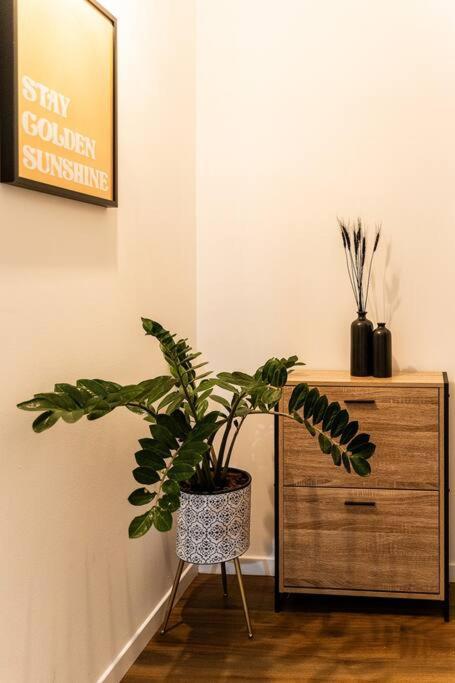 Le Cocon Retro-Chic A La Capitale Apartment Saint-Denis Exterior foto